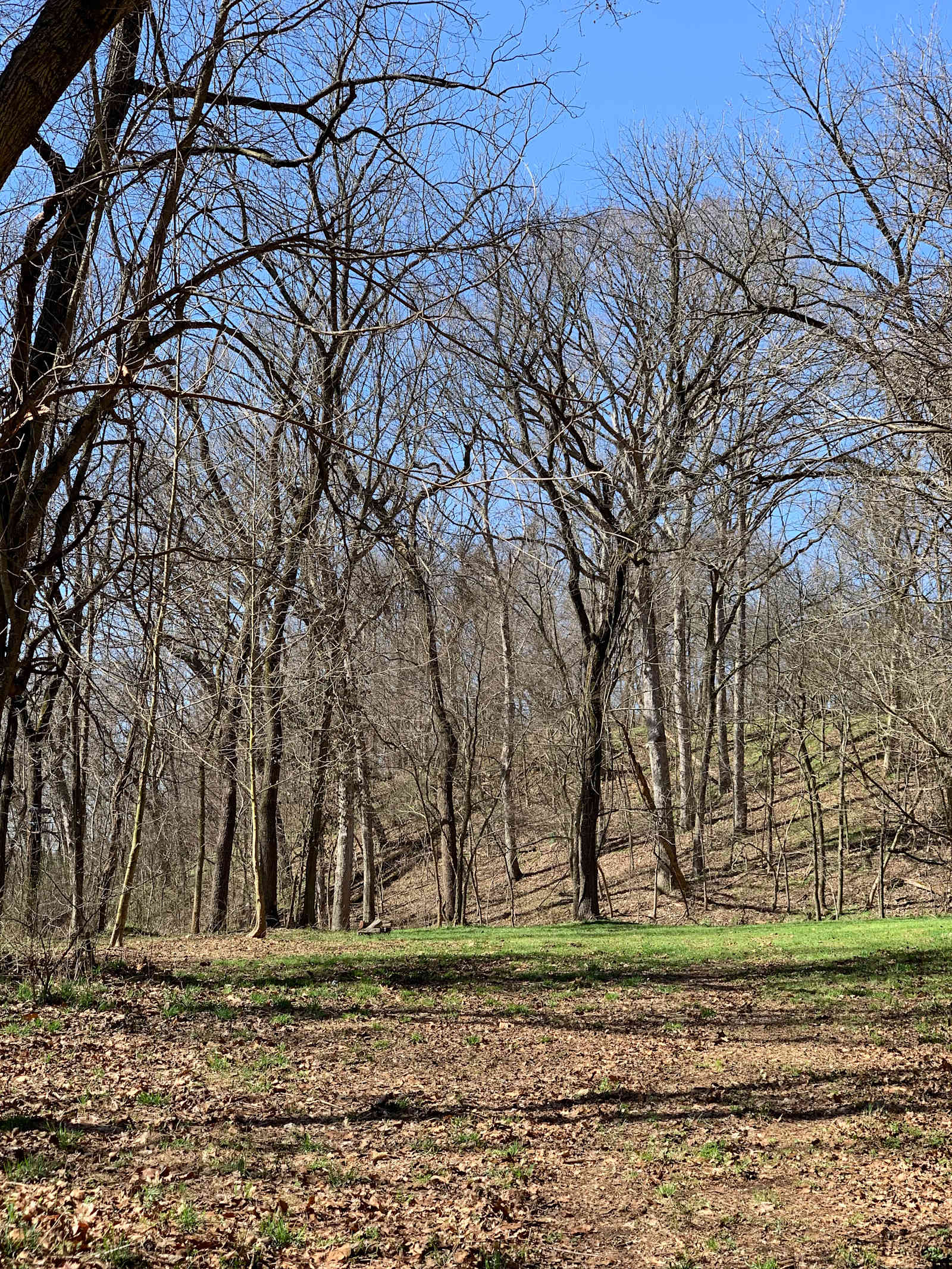 Flint Creek Endurance Heaven - Gentry, Arkansas - glamping.directory
