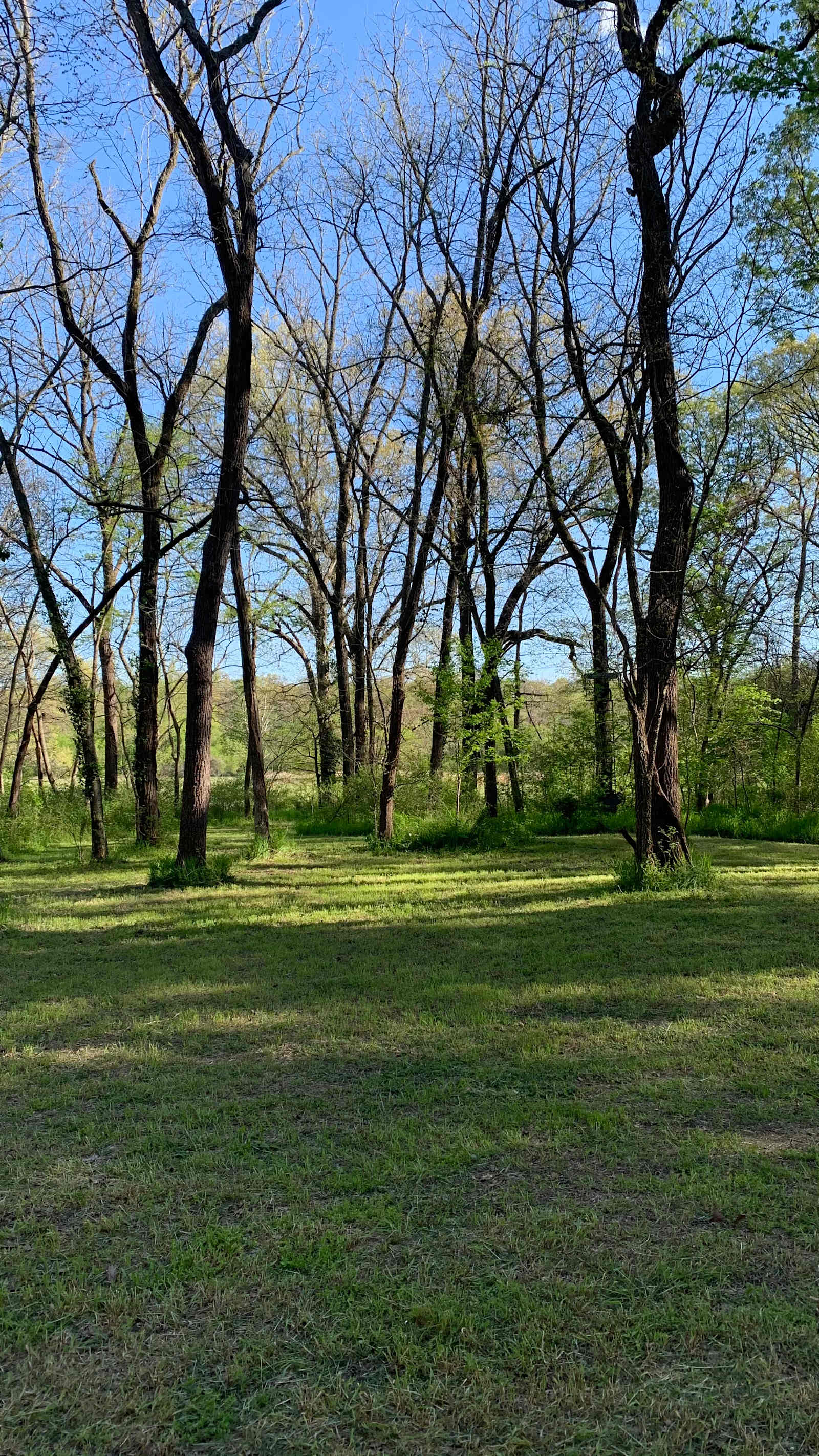 Flint Creek Endurance Heaven - glamping.directory