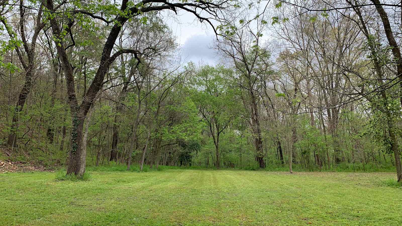 Flint Creek Endurance Heaven - Gentry, Arkansas - glamping.directory