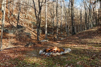 Peaceful and Pet Friendly Cabin with River Access in Great Cacapon, West Virginia - Great Cacapon, West Virginia - glamping.directory