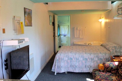 Cozy One-Bedroom Cabin Rental in Blue Ridge Mountains of Virginia - Fancy Gap, Virginia - glamping.directory