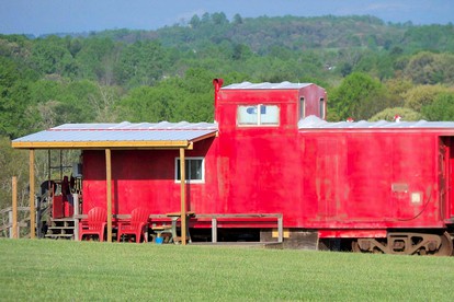 Cozy One-Bedroom Cabin Rental in Blue Ridge Mountains of Virginia - Fancy Gap, Virginia - glamping.directory