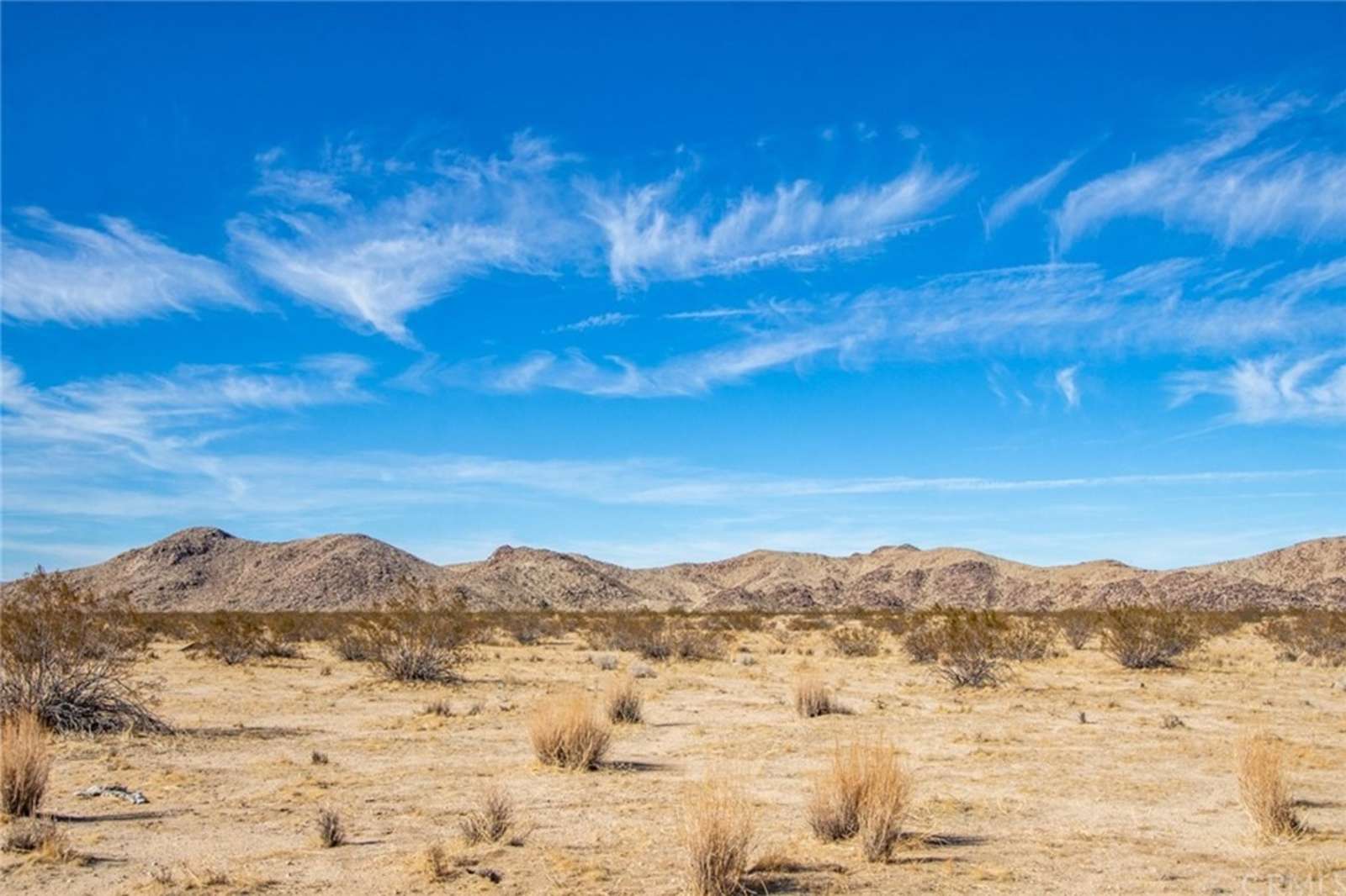 Stargaze Gate - Joshua Tree, California - glamping.directory