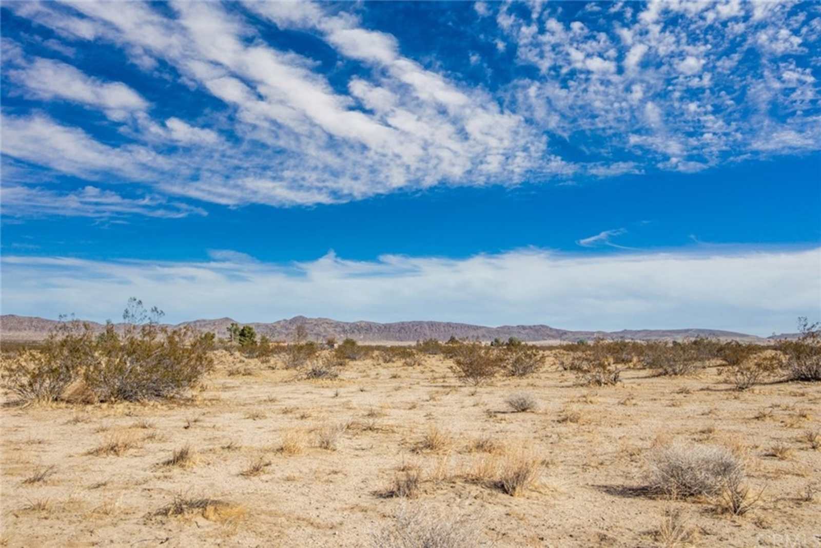 Stargaze Gate - Joshua Tree, California - glamping.directory