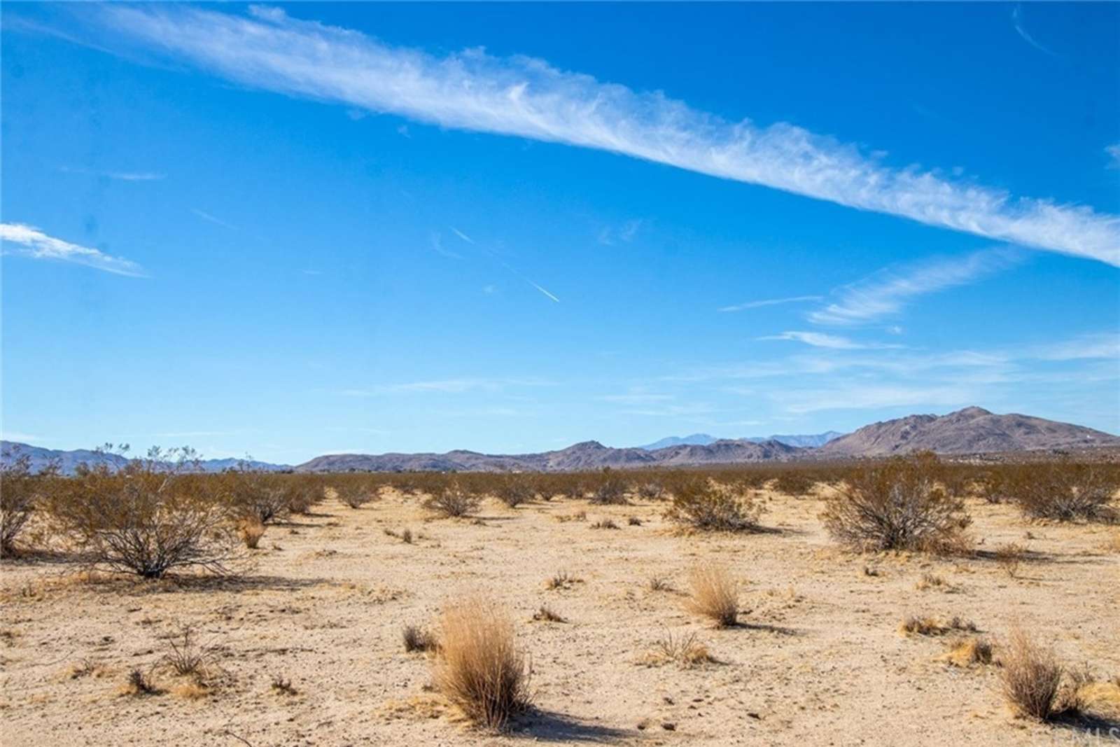 Stargaze Gate - Joshua Tree, California - glamping.directory