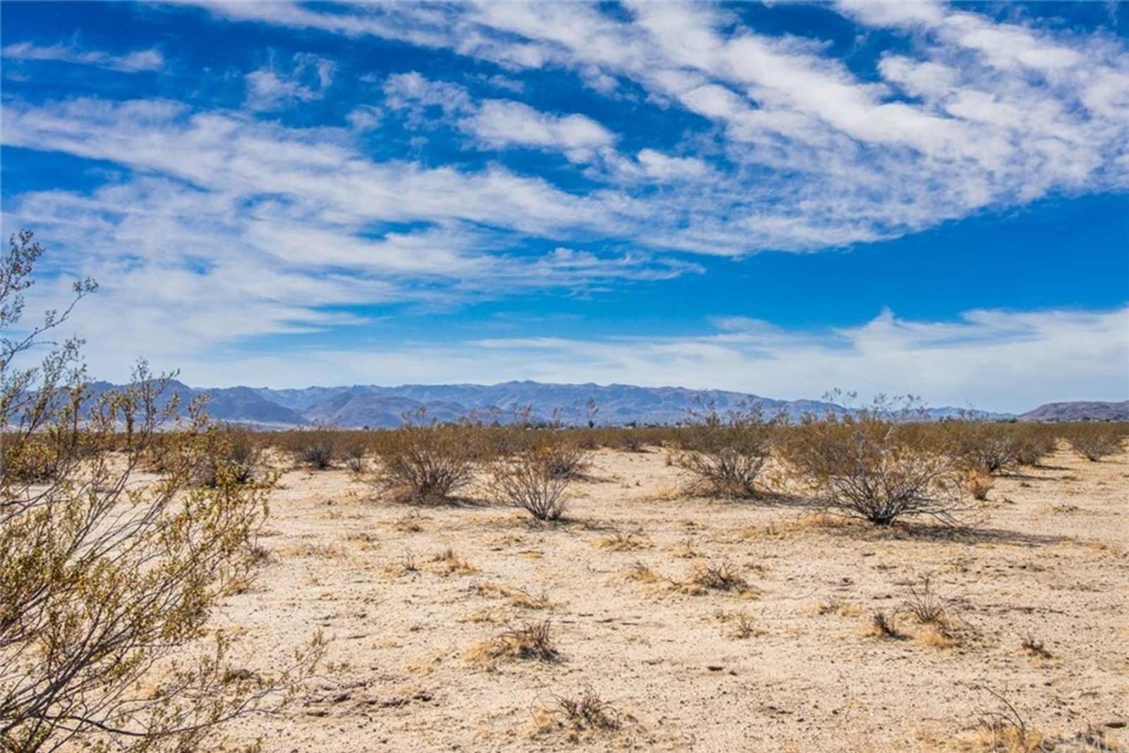 Stargaze Gate - Joshua Tree, California - glamping.directory