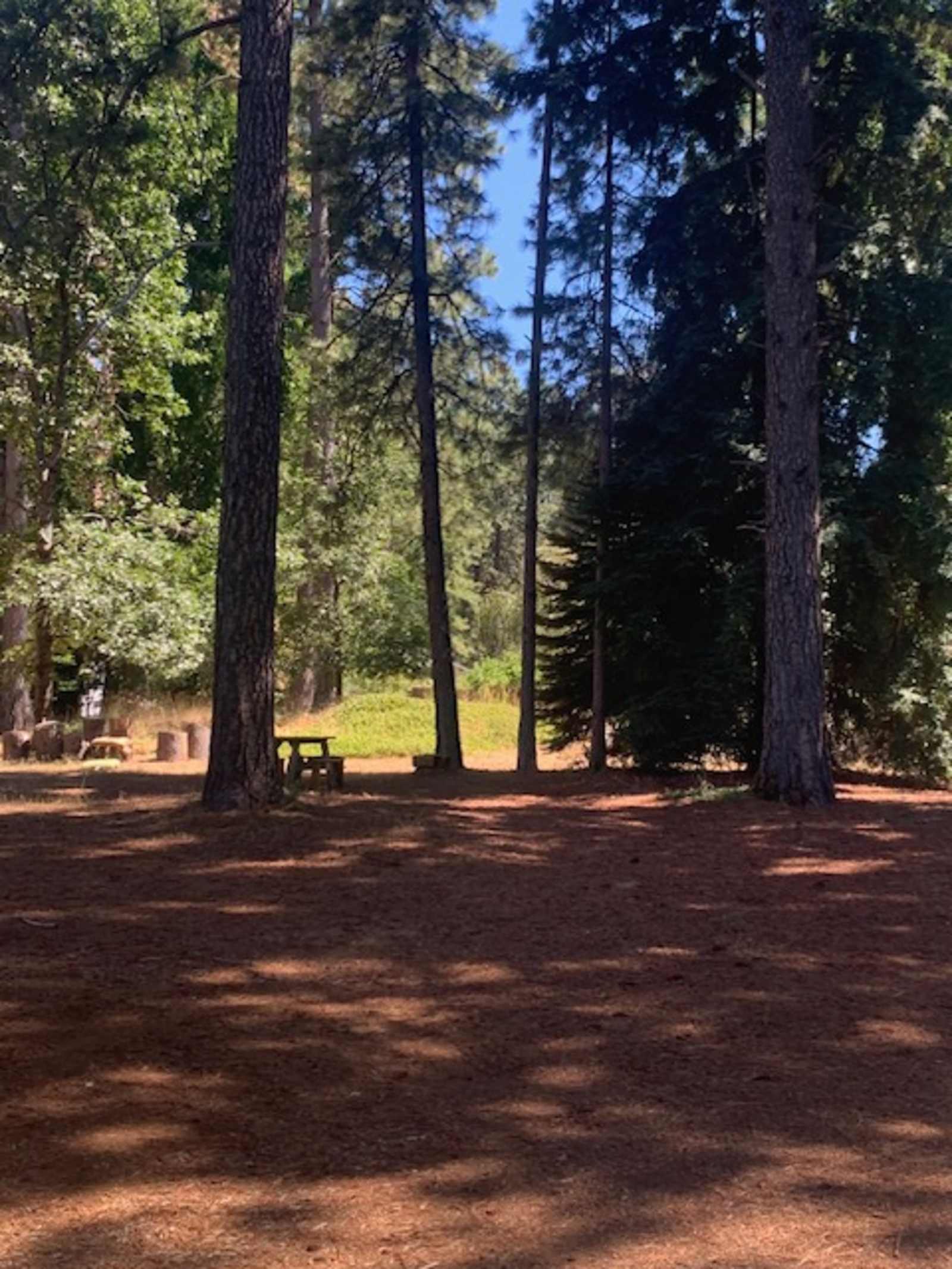 Shady In-Town Creekside Campsite - Grass Valley, California - glamping.directory