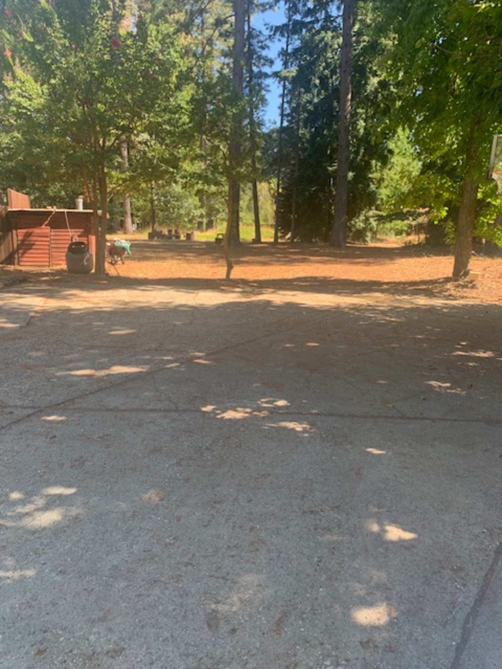 Shady In-Town Creekside Campsite - Grass Valley, California - glamping.directory
