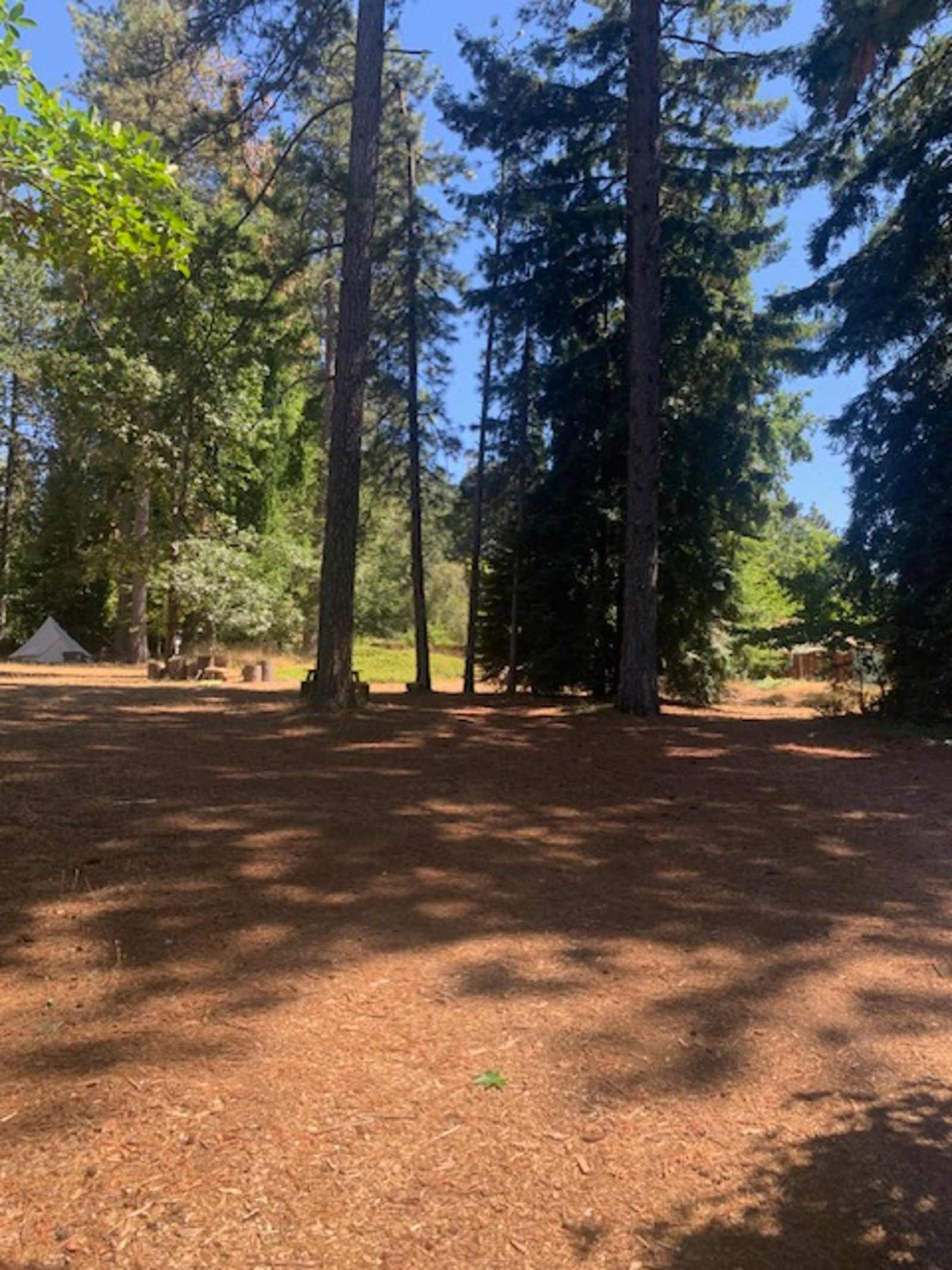 Shady In-Town Creekside Campsite - Grass Valley, California - glamping.directory