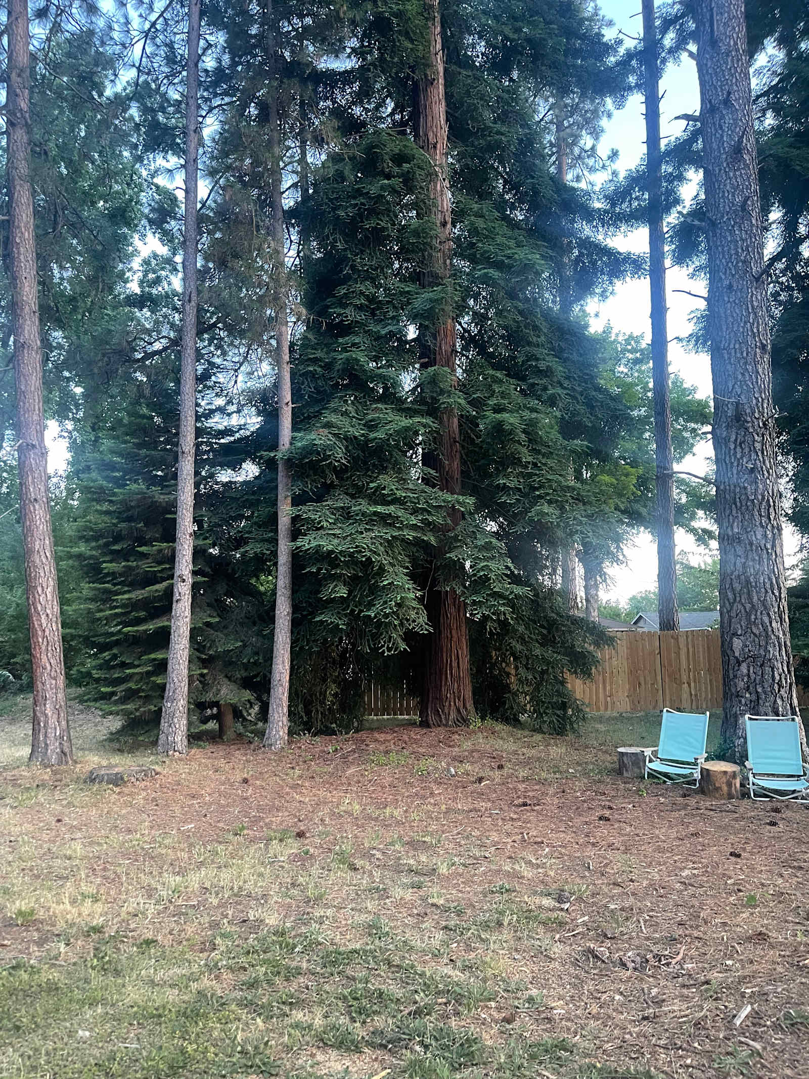 Shady In-Town Creekside Campsite - glamping.directory