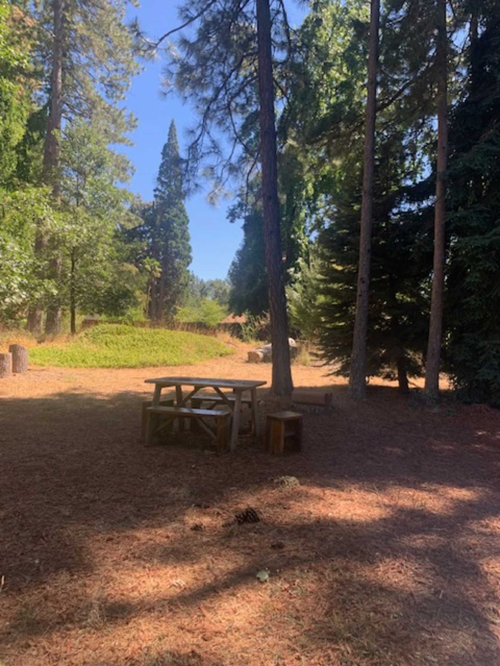 Shady In-Town Creekside Campsite - Grass Valley, California - glamping.directory
