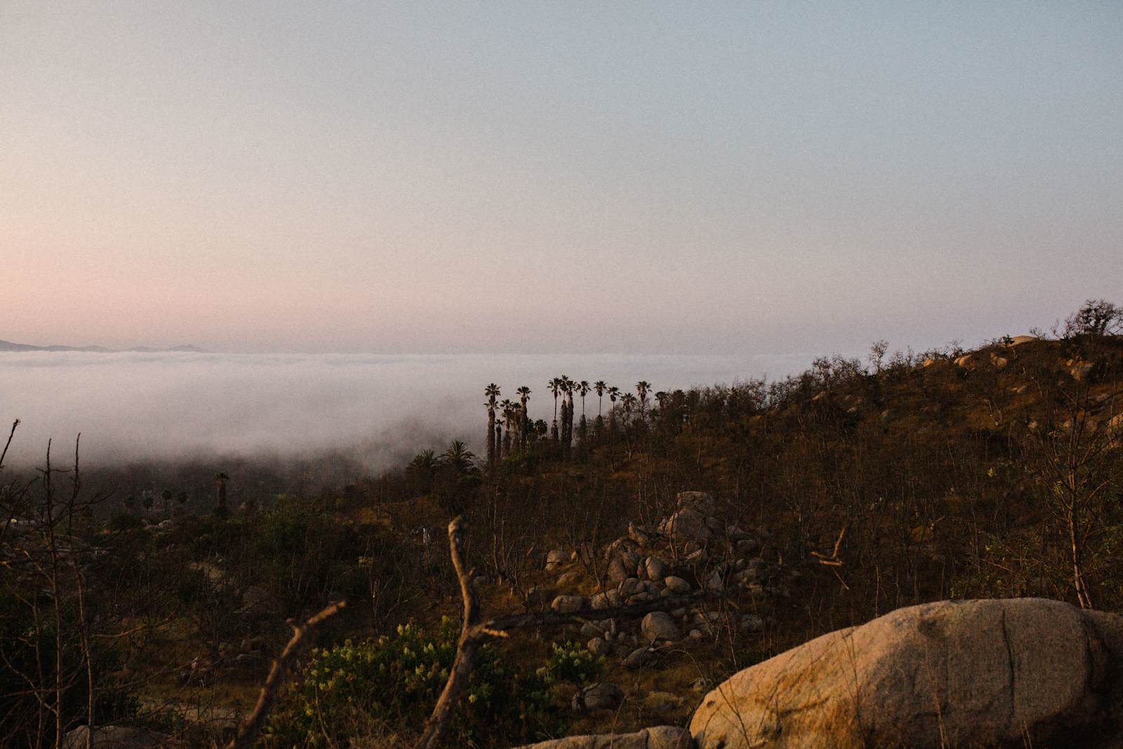 Splitrock Farm and Retreat - Fallbrook, California - glamping.directory