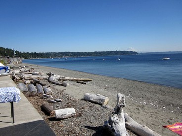 Secluded Cottage Getaway with Incredible views near Seattle, Washington - Burien, Washington - glamping.directory