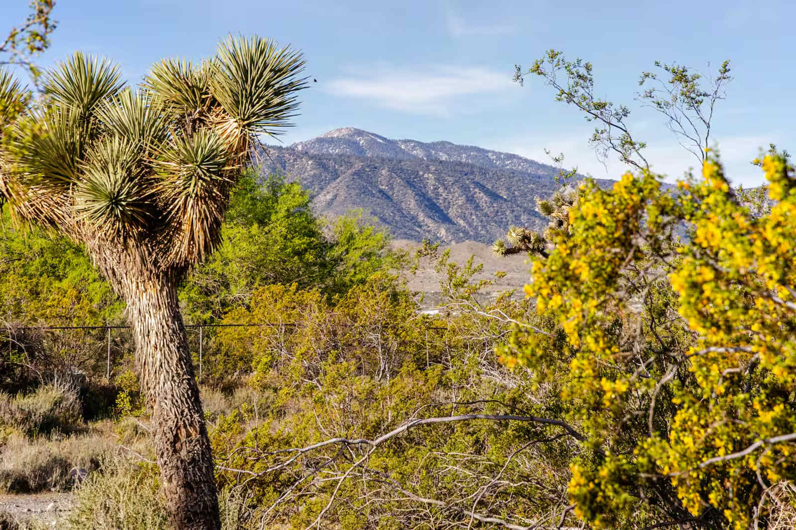 Fort Bailey Private Desert Estate - Piñon Hills, California - glamping.directory
