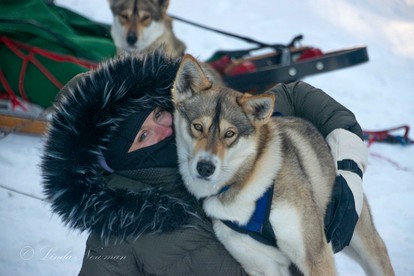 Cozy Tiny Cabin - Off-Grid Experience with Sled Dogs Year 'round in Minnesota - Grand Marais, Minnesota - glamping.directory
