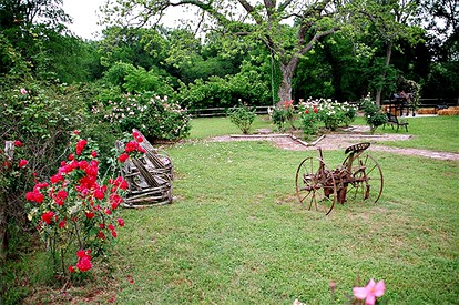 D Son's Fully-Equipped Safari Tent in Marion, TX - Marion, Texas - glamping.directory