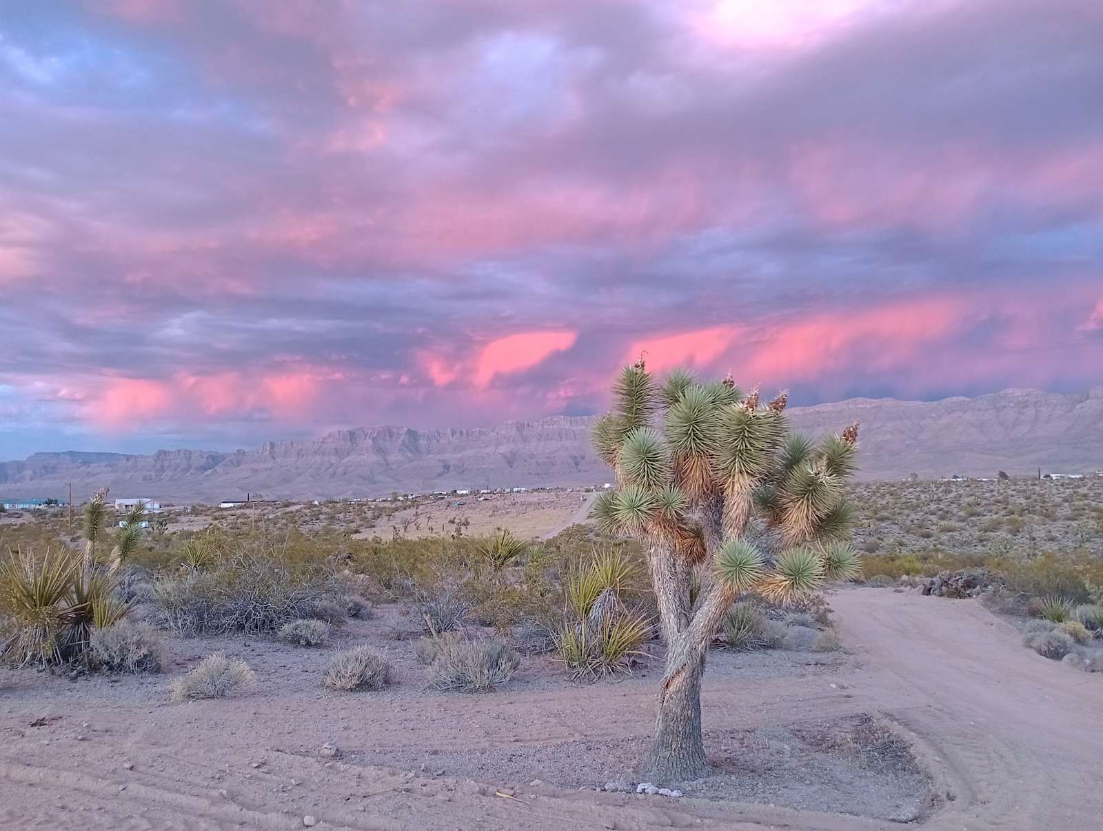 Heavenly Aligned Sanctuary - Meadview, Arizona - glamping.directory