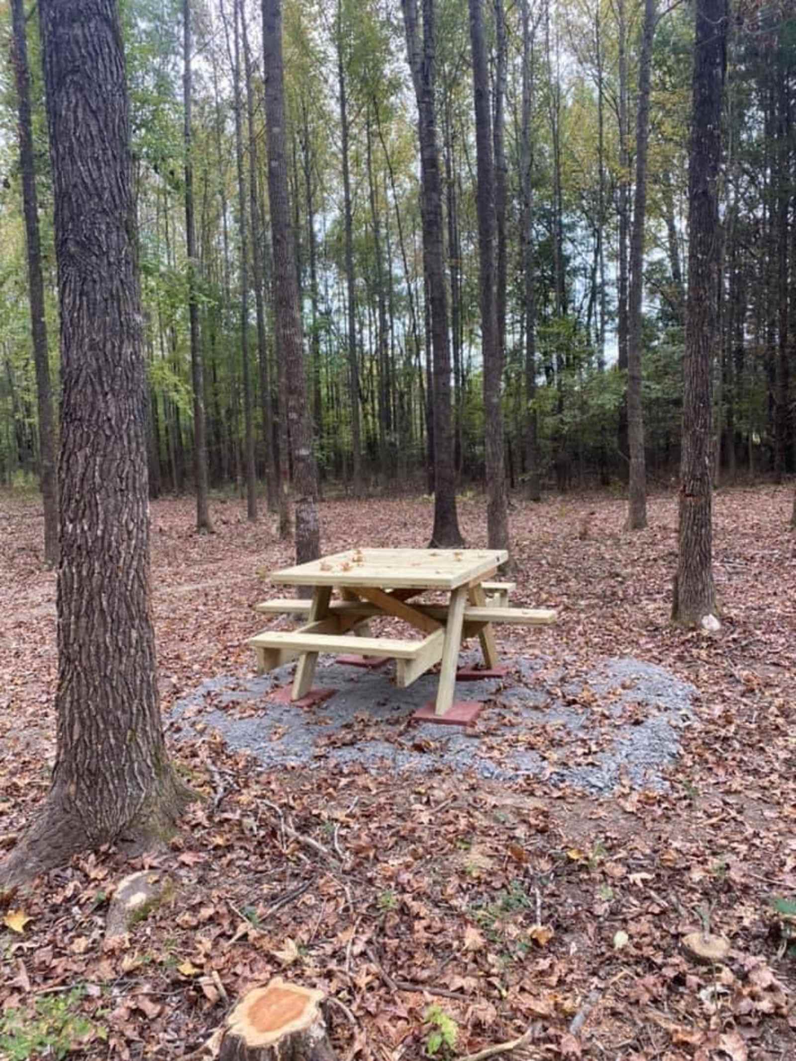 Miller’s Outpost - Greenbrier, Arkansas - glamping.directory