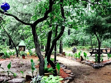 Beautiful Cabin Surrounded by Forest with Amazing Outdoor Amenities for a Peaceful Escape in the Outdoors in Ben Wheeler, Texas - Ben Wheeler, Texas - glamping.directory