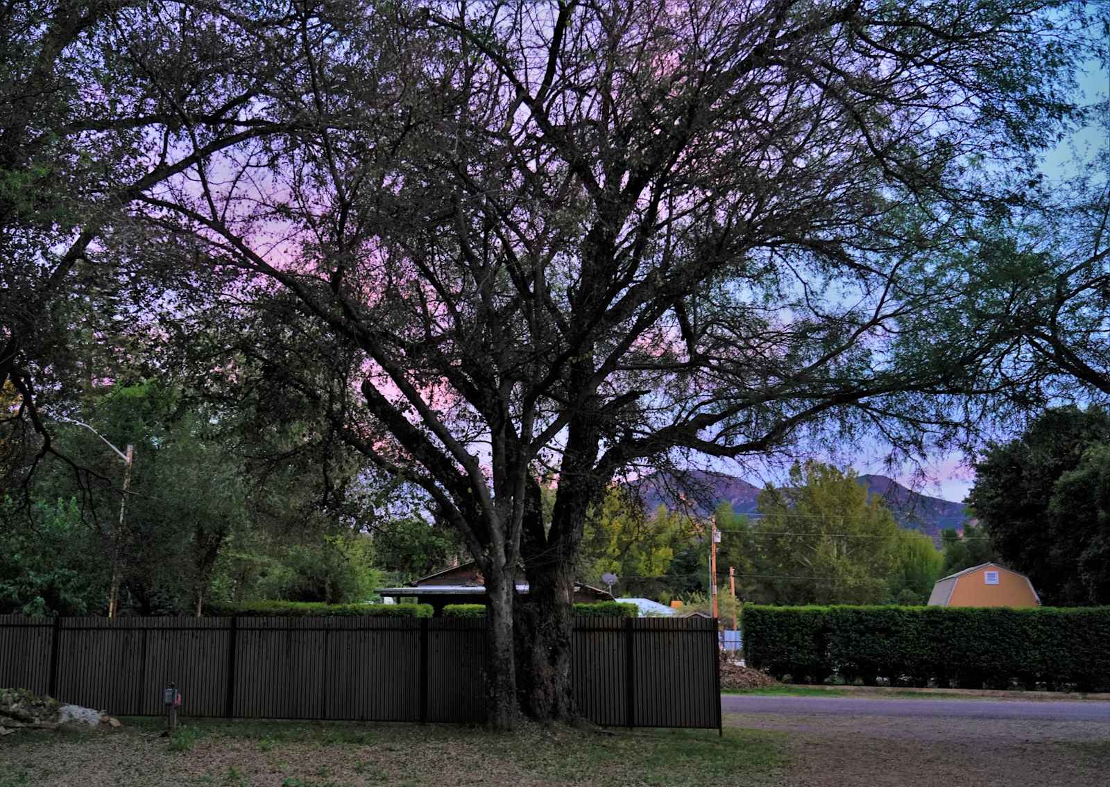 Sanctuary at Sonoita Creek - Patagonia, Arizona - glamping.directory