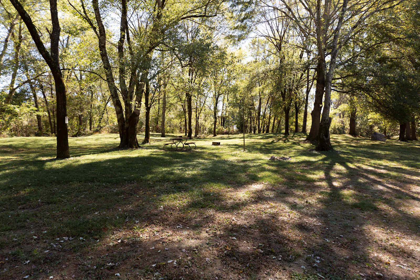 Ouachita River Haven - glamping.directory
