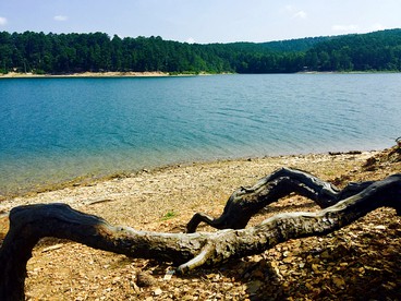 Cozy Vacation Rental with a Shared Swimming Pool in Heber Springs, Arkansas - Heber Springs, Arkansas - glamping.directory