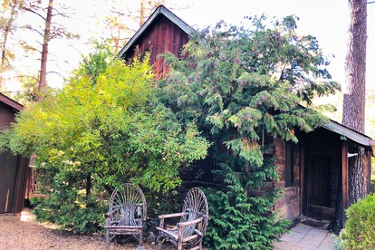Gorgeous Idyllwild Cabin Perfect for Mountain Getaways from Los Angeles - glamping.directory