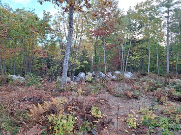 Unplug and Reconnect in a Peaceful Off-Grid Cabin for Relaxation and Nature Immersion in Beddington, Maine - Beddington, Maine - glamping.directory