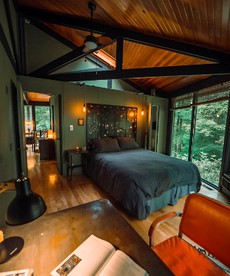 Imaginative Octogonal Glass Treehouse on Seven Private Acres near Great Barrington, MA - Otis, Massachusetts - glamping.directory