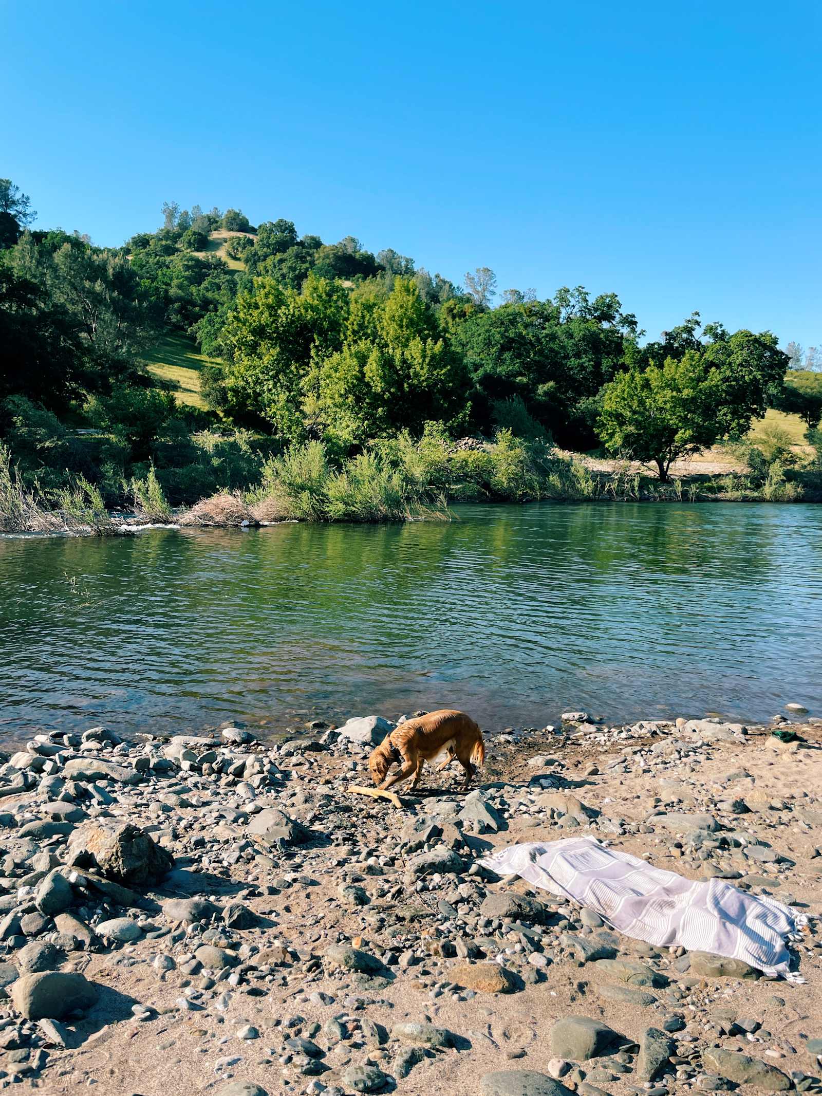 Cosumnes River Ranch - Plymouth, California - glamping.directory