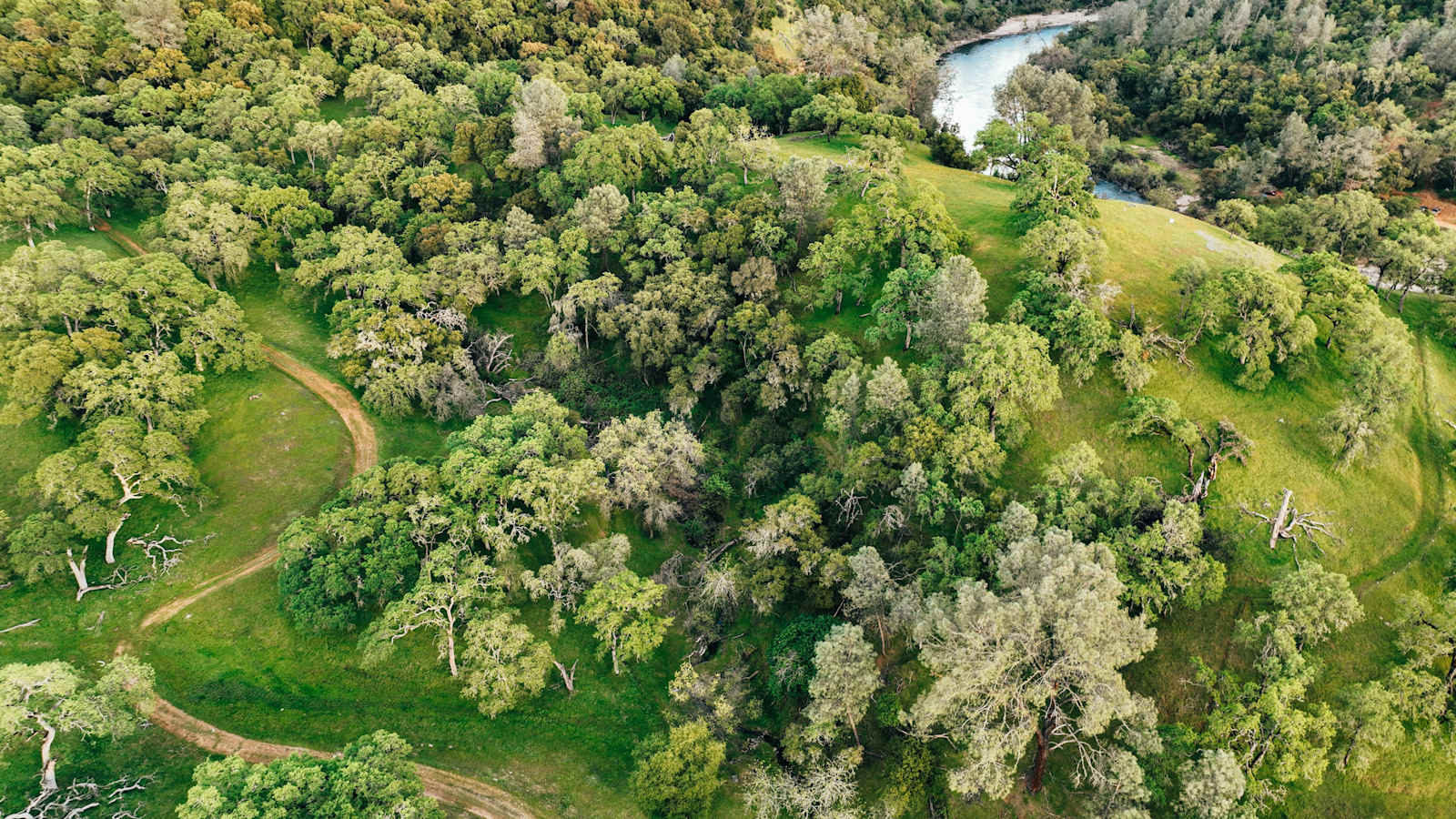 Cosumnes River Ranch - Plymouth, California - glamping.directory