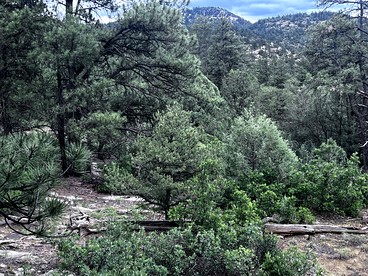 Peaceful A-frame Among Nature in Colorado - Trinidad, Colorado - glamping.directory