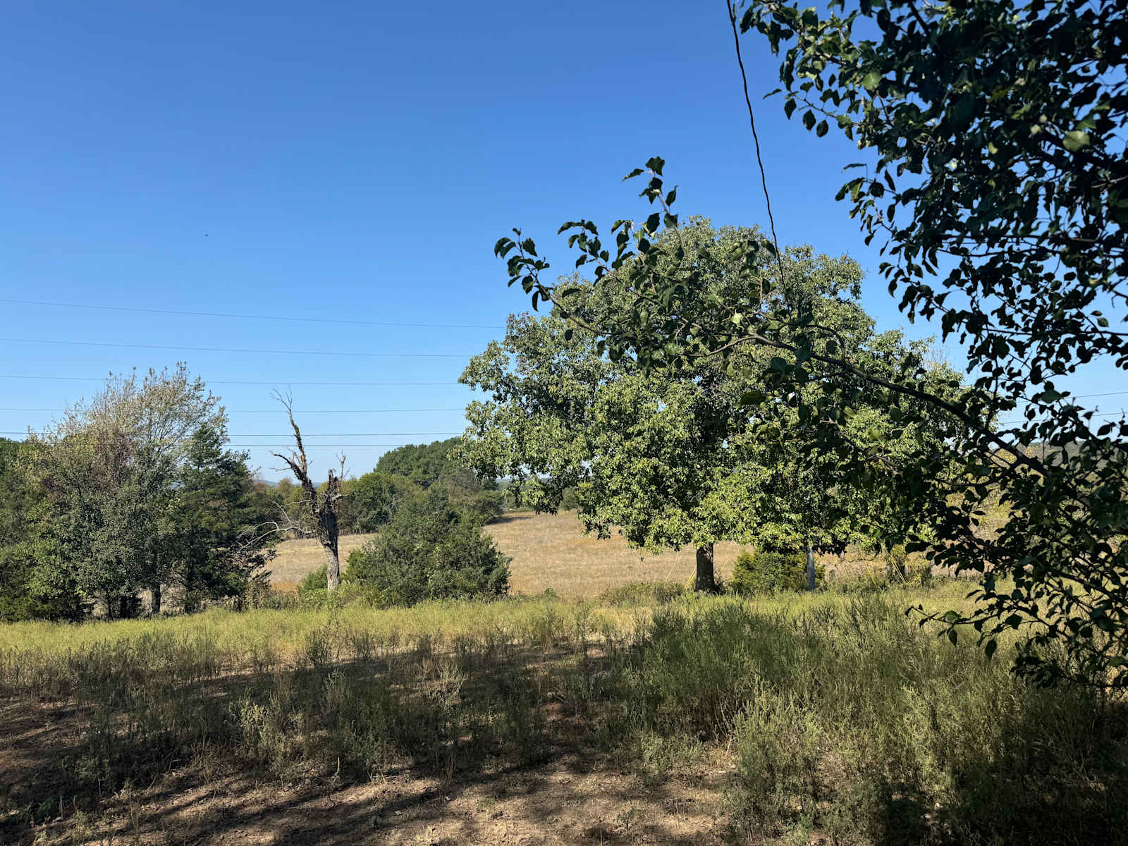Ferguson Farms - Elkins, Arkansas - glamping.directory