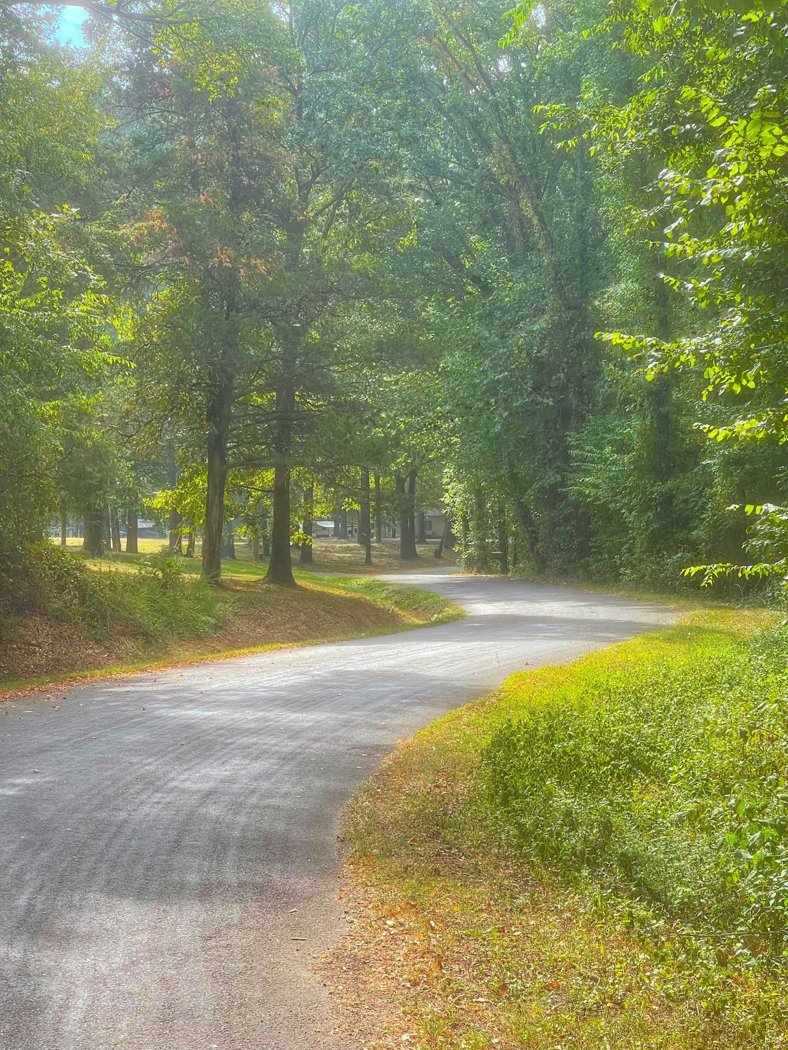 Adventure on Lake Atkins! - Atkins, Arkansas - glamping.directory