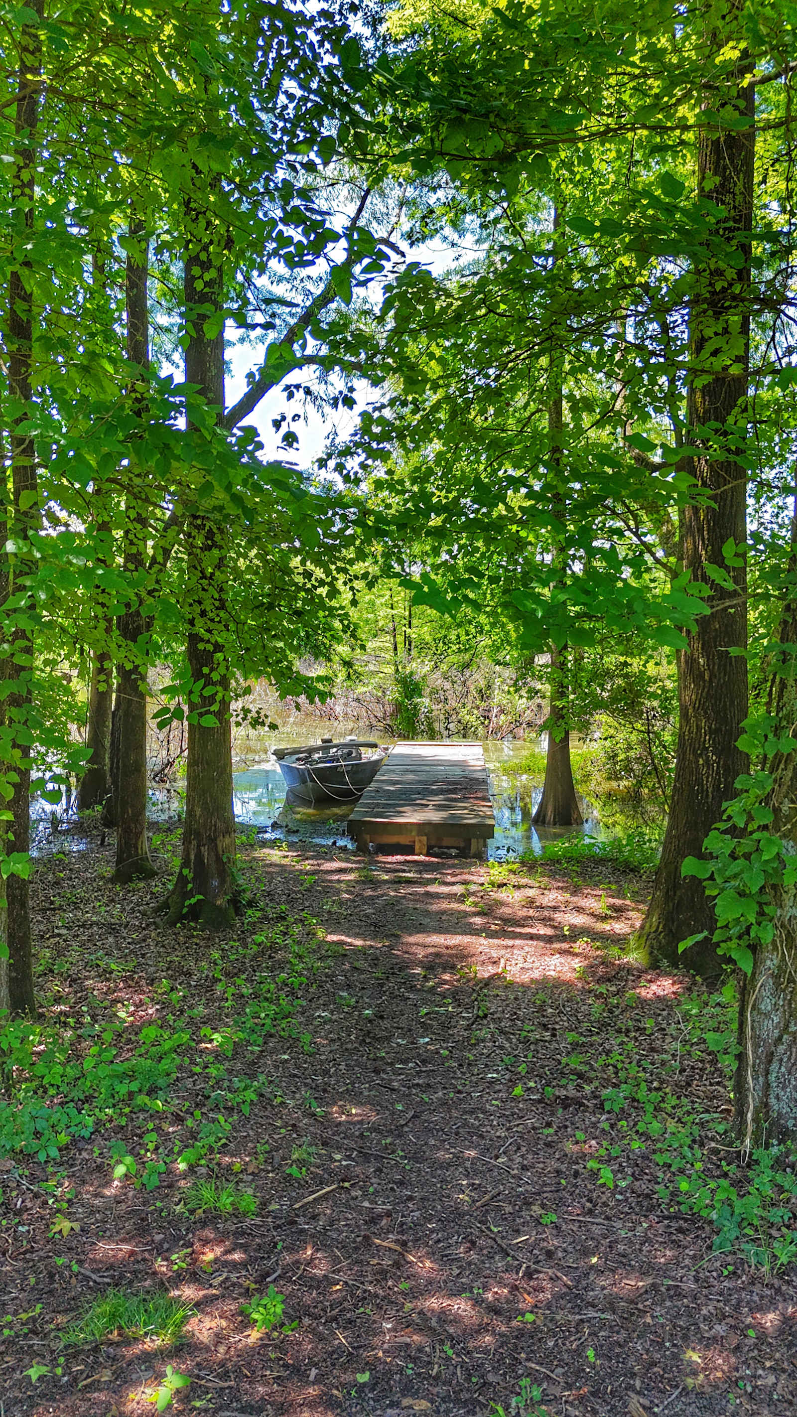 Adventure on Lake Atkins! - Atkins, Arkansas - glamping.directory