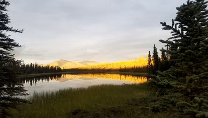Wrangell-St.Elias National Park Glamping Cabin for an Alaskan Outdoor Adventure - Nabesna, Alaska - glamping.directory