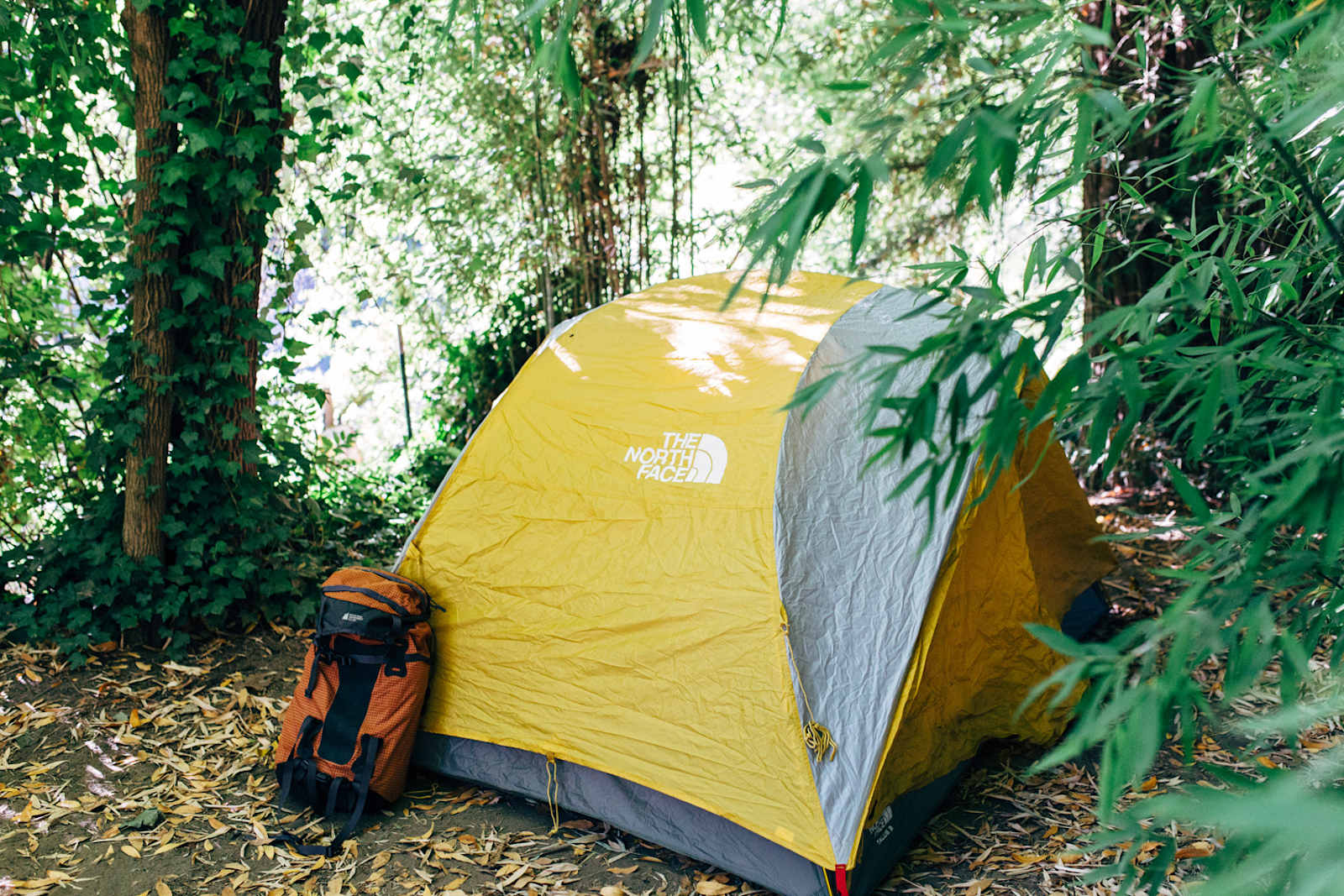 River Bend on the Russian River! - glamping.directory