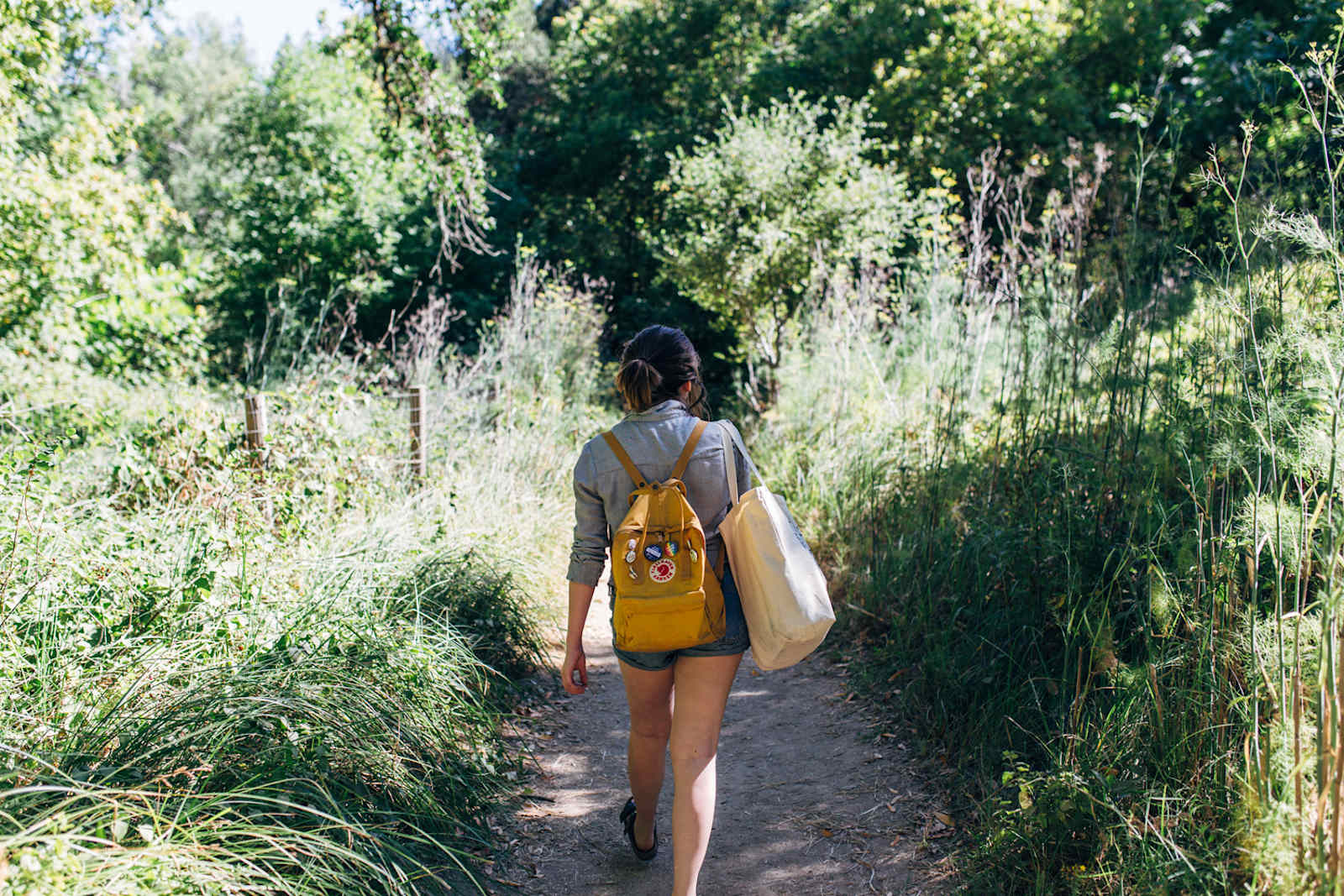 River Bend on the Russian River! - Forestville, California - glamping.directory