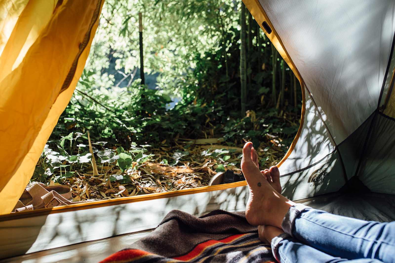 River Bend on the Russian River! - Forestville, California - glamping.directory