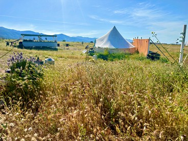 Glamorous California Campsite Retreat with Great Views - New Cuyama, California - glamping.directory
