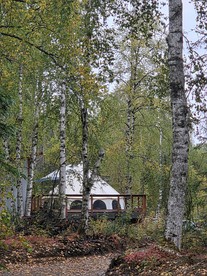 Cozy Bell Tent at an Adults-Only Boutique Outdoor Retreat near Talkeenta, Alaska - glamping.directory