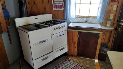 Cozy, Pet Friendly Cabin Deep in the Mountains for a Serene Getaway of Wilderness and Wildlife - Bellvue, Colorado - glamping.directory