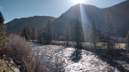 Cozy, Pet Friendly Cabin Deep in the Mountains for a Serene Getaway of Wilderness and Wildlife - Bellvue, Colorado - glamping.directory