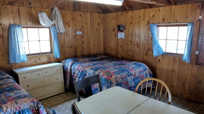 Cozy, Pet Friendly Cabin Deep in the Mountains for a Serene Getaway of Wilderness and Wildlife - Bellvue, Colorado - glamping.directory