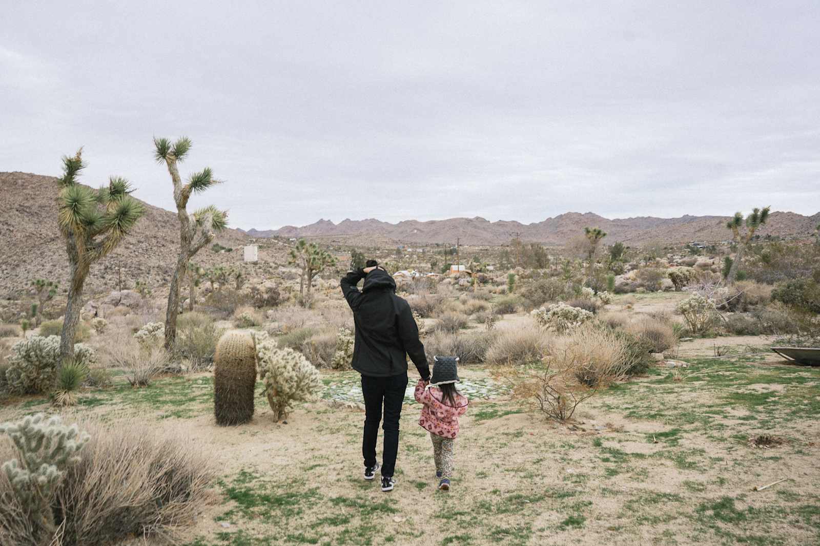 Joshua Tree Artist Retreat - Joshua Tree, California - glamping.directory