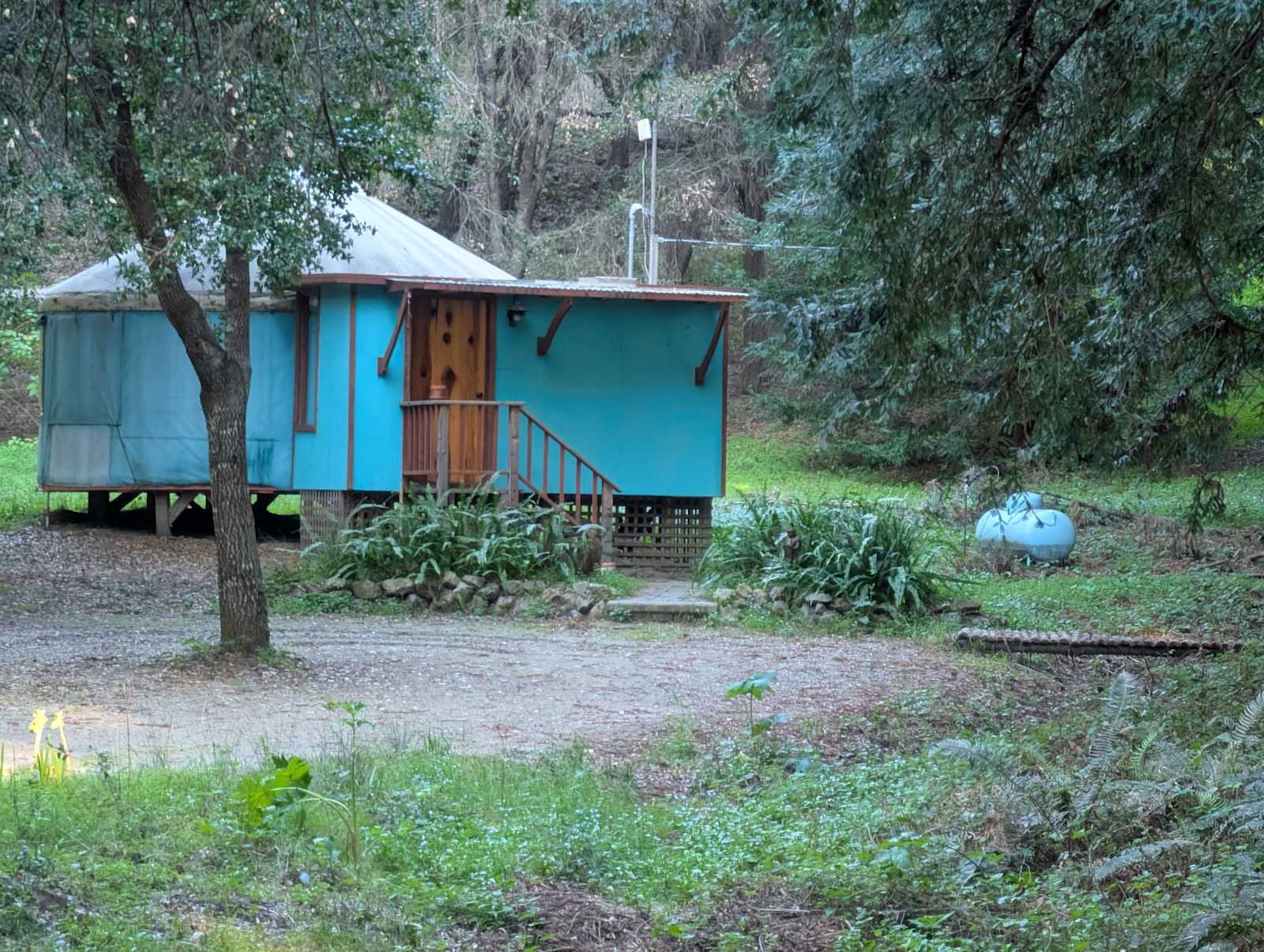 Yurt In The Redwoods - glamping.directory