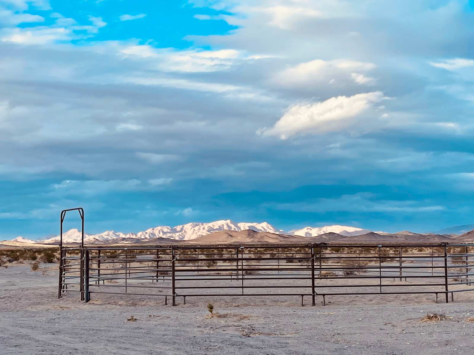 Joshua Tree Container Resort - Twentynine Palms, California - glamping.directory