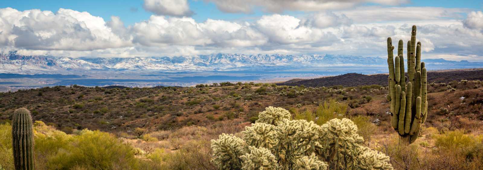 Buckeye Ranch RV Resort - glamping.directory