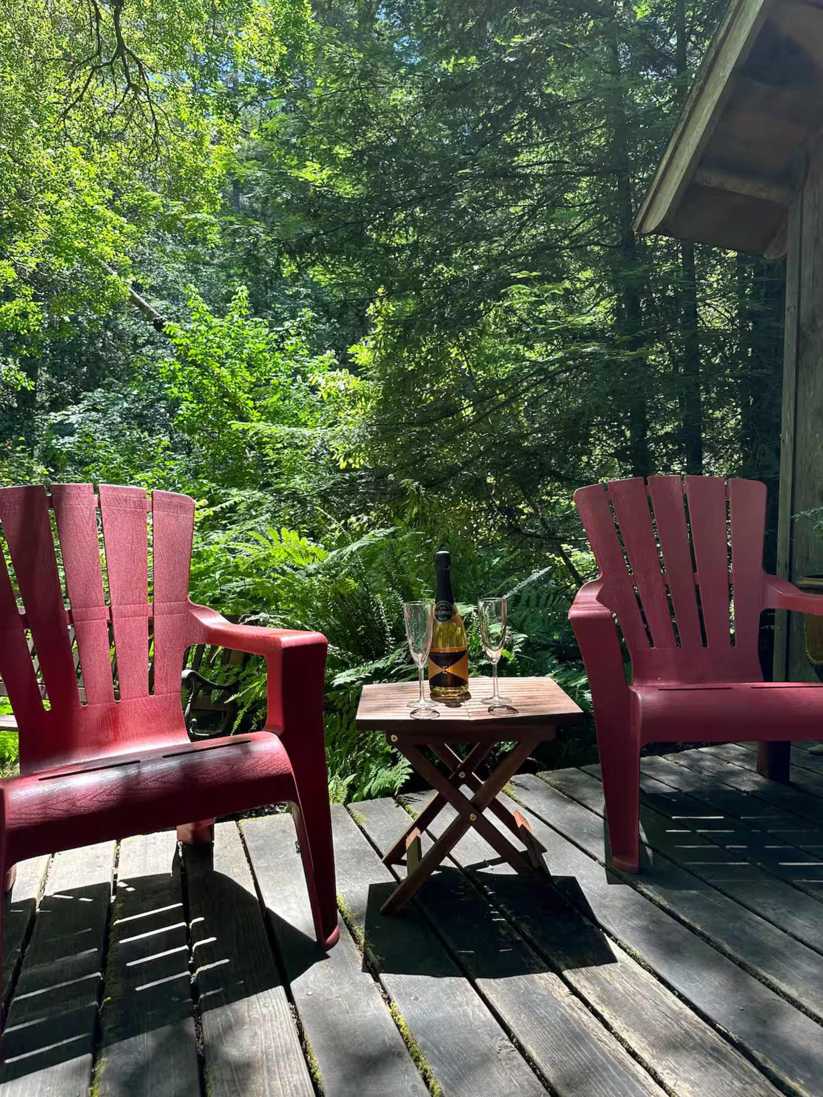 The Coastal Redwood Cabin | Creek - Soquel, California - glamping.directory