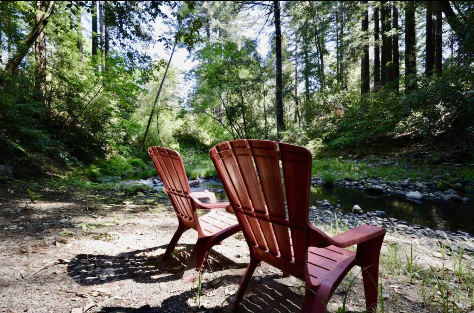 The Coastal Redwood Cabin | Creek - Soquel, California - glamping.directory